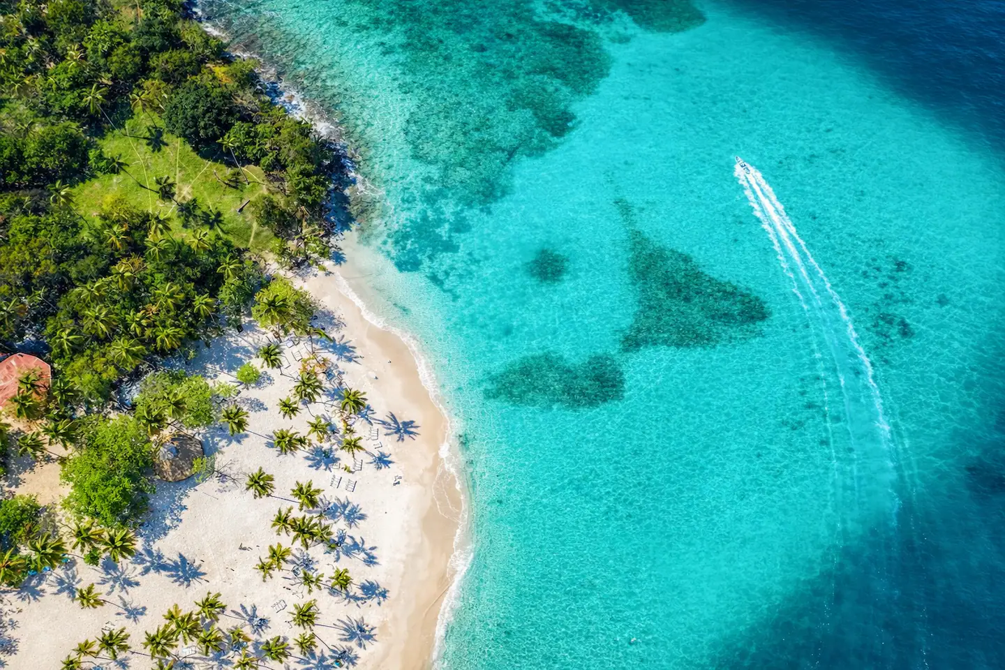 Playa de arena blanca y agua turquesa vista desde el aire